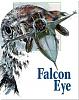 falconeyes avatar