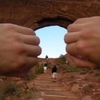 Proktologsafaris avatar