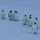 Pingvinktts avatar