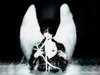 xoreaxs avatar