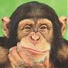 Makkadams avatar