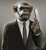 monkey_with_guns avatar