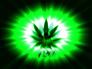 NightShades avatar