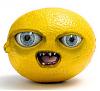 Pungsparks avatar