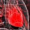 heartbeeatss avatar