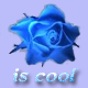 Cooto3ss avatar