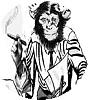 smilingapes avatar