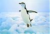 flyingpenguins avatar