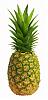 PineappleJewss avatar