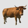 bottgotts avatar