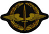 troswes avatar