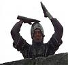 algerluktarosts avatar