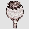 Triacetylmorfins avatar