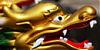 GylleneDrakens avatar