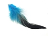 Featherys avatar