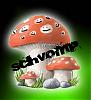 Schvomps avatar