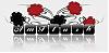 Amfens avatar