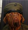 Pastejmannens avatar