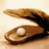 HerrMusslas avatar